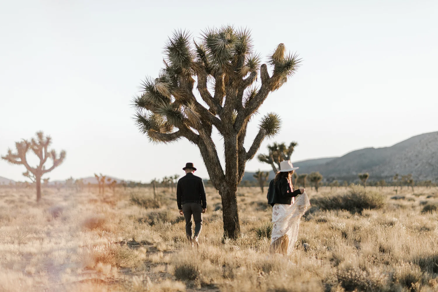 Day After Session in Joshua Tree, CA | Sam + Karl