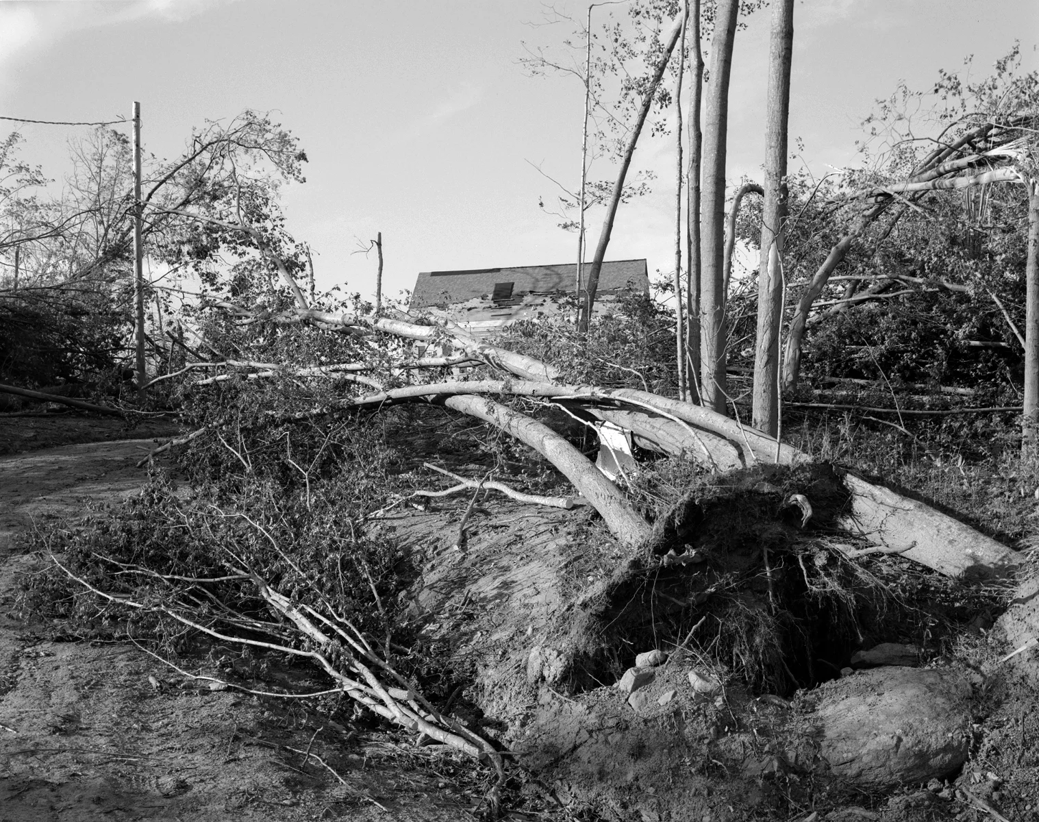 Tornado Driveway 2.jpg