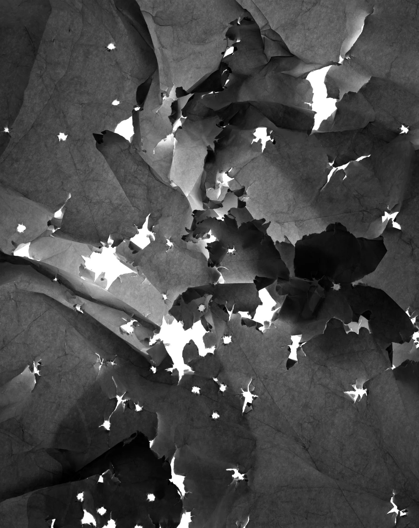  Creased and Perforated No.8, silver gelatin print, 40x32", 2014 