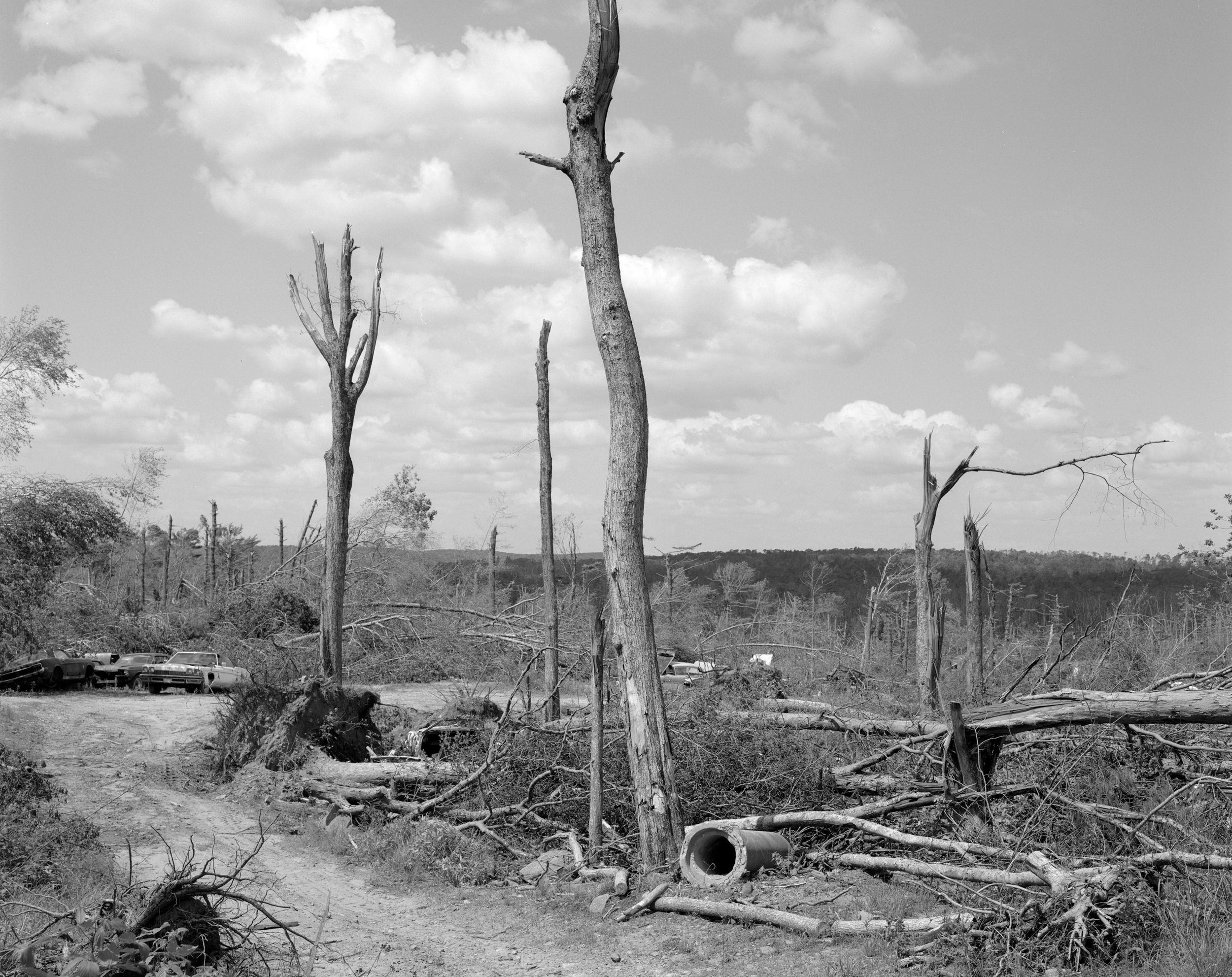 Tree and Pipe Tornado 2.jpg