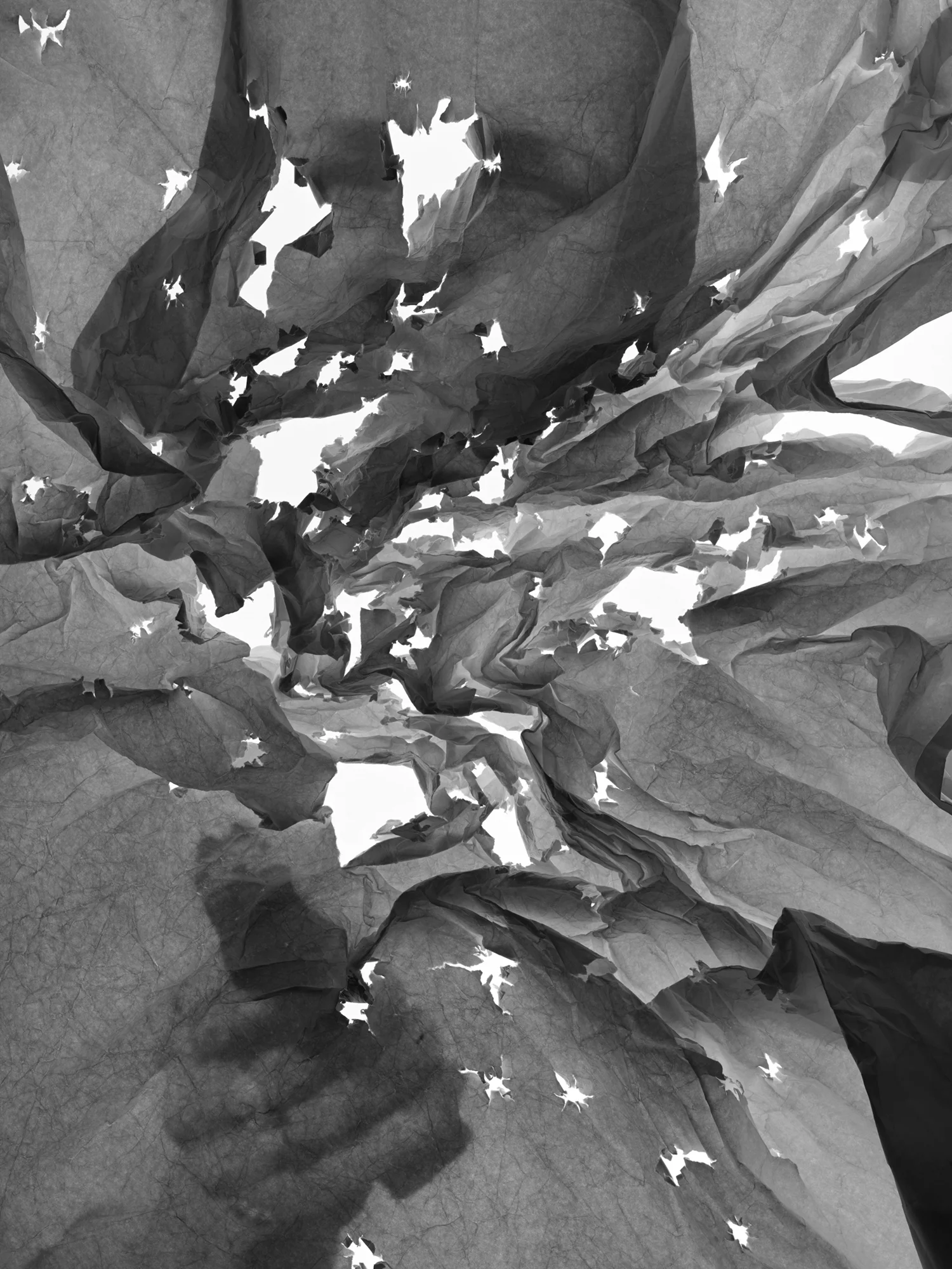  Creased and Perforated No.14, archival pigment print, 40x30", 2016 