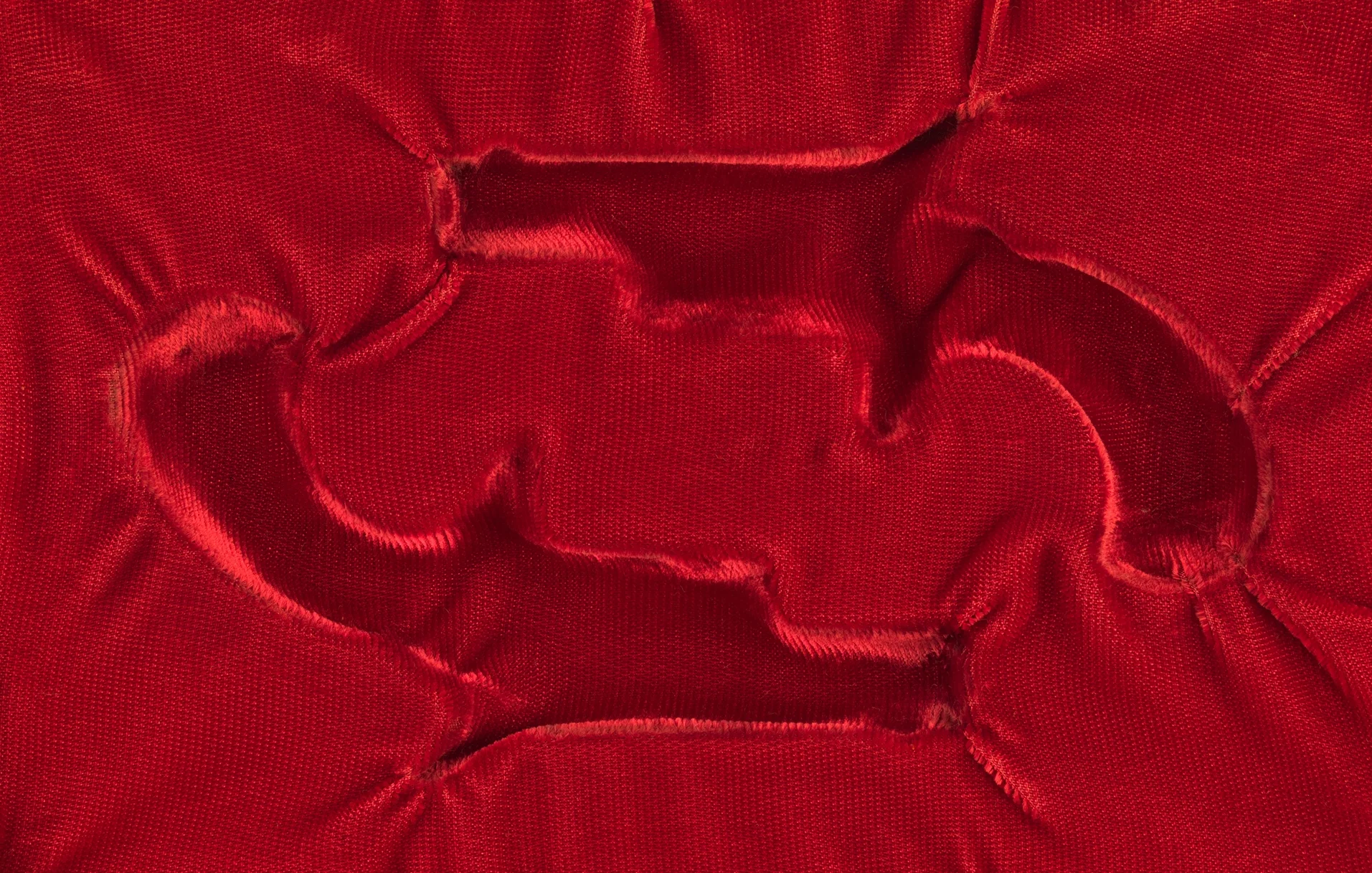  Velvet Colts, archival pigment print, mounted to aluminum, 40.5x26", 2013-2015 