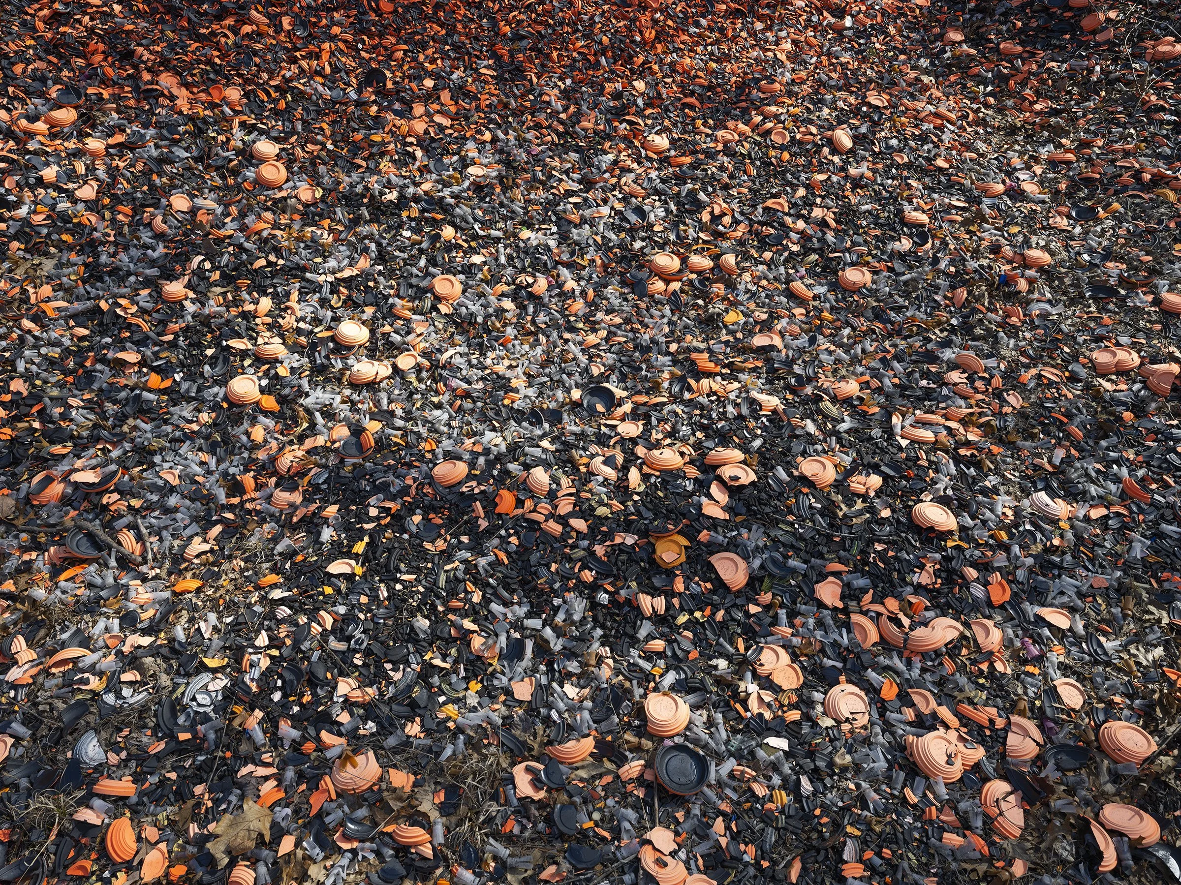  Trap Field, archival pigment print, 42x56”, 2021 