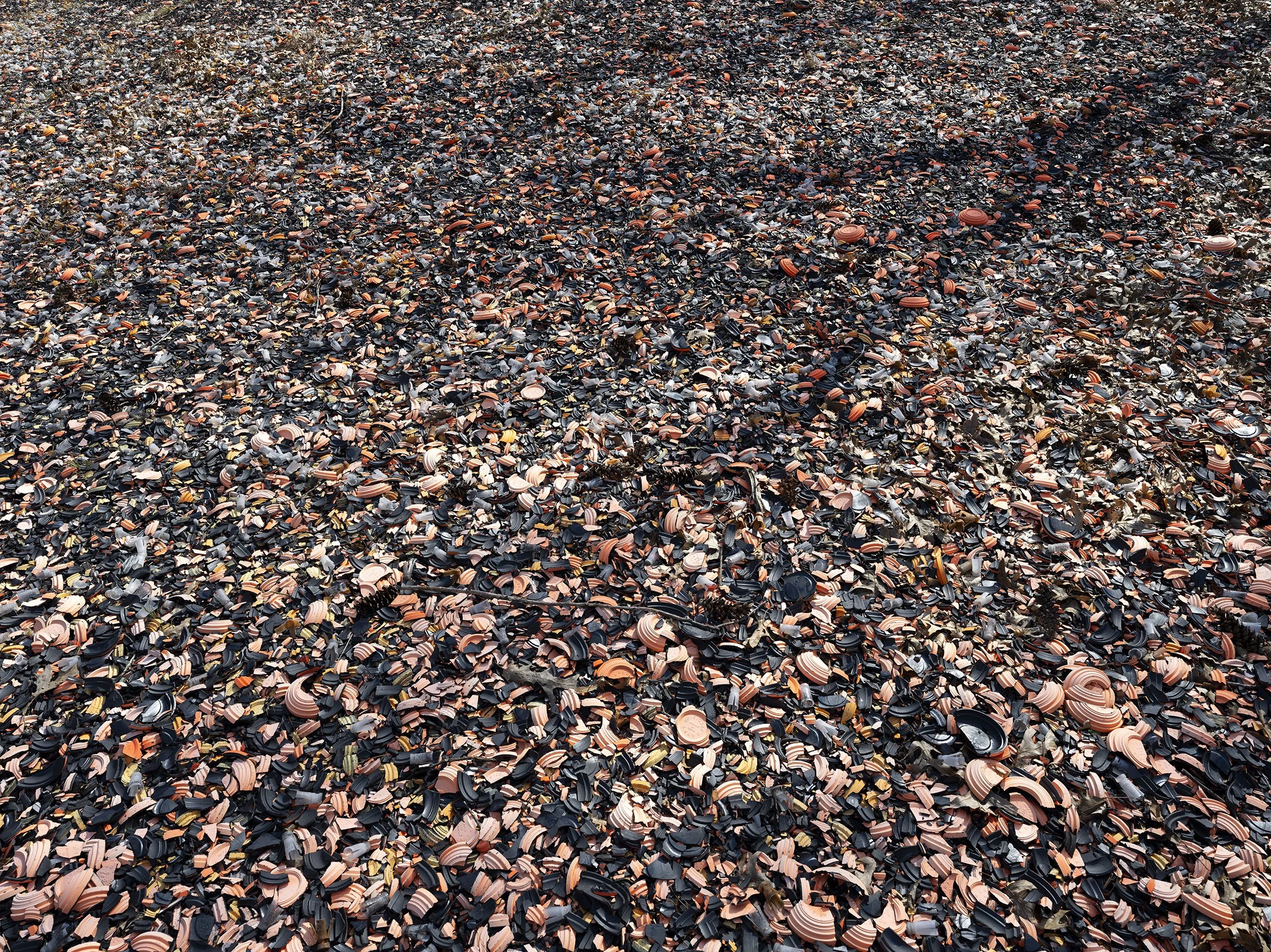  Trap Field, archival pigment print, 42x56, 2021 