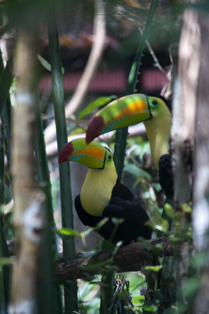 20130803-DSC_0529.jpg