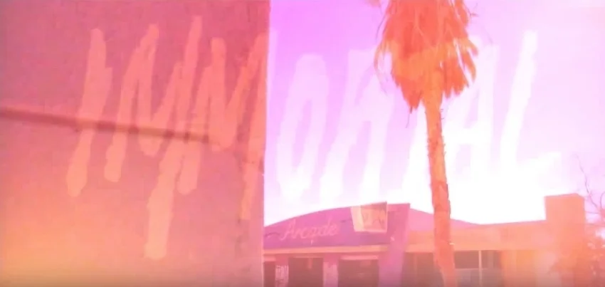 Immortal - Music & Video 