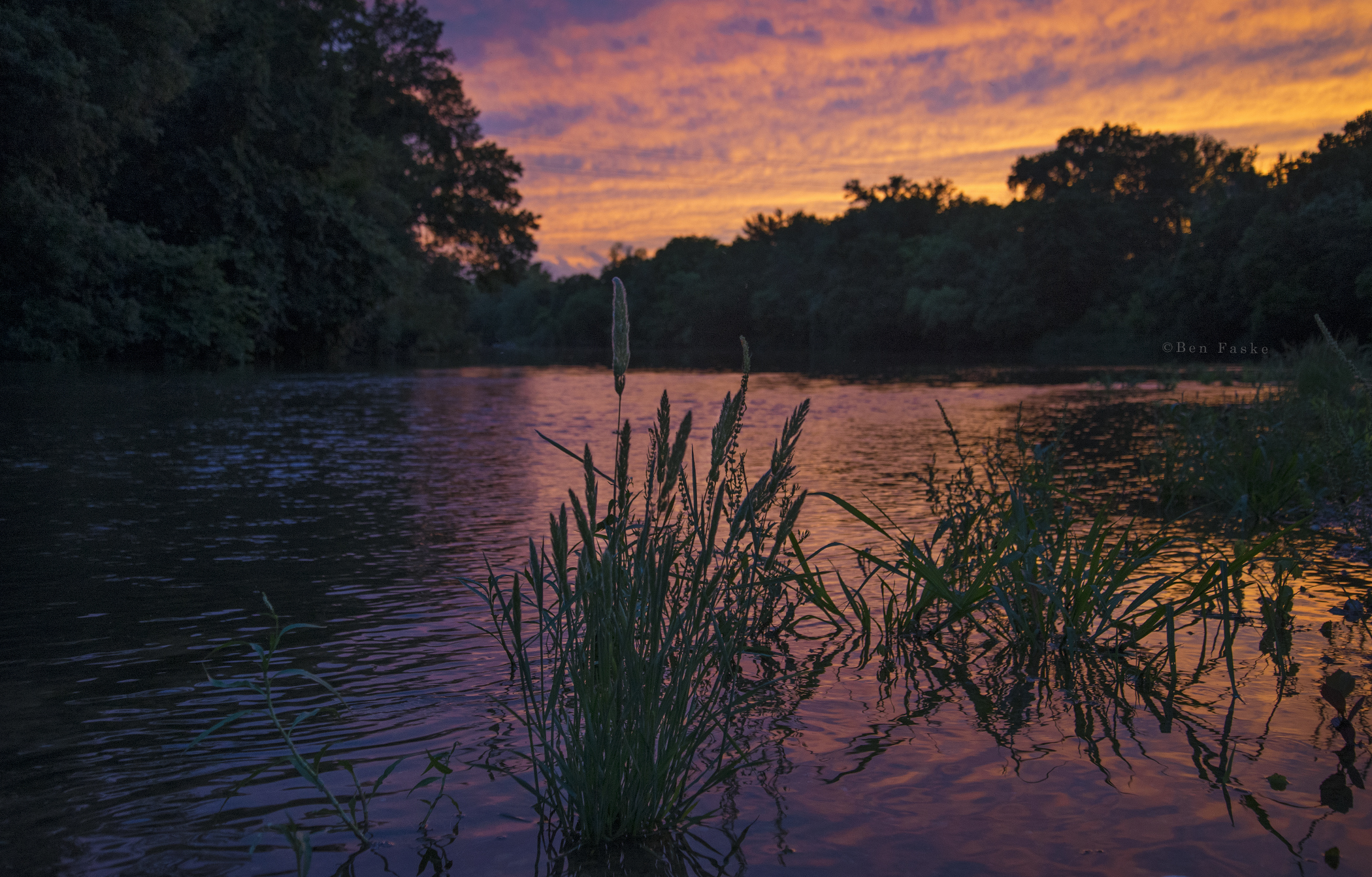 Golden Sunset #2