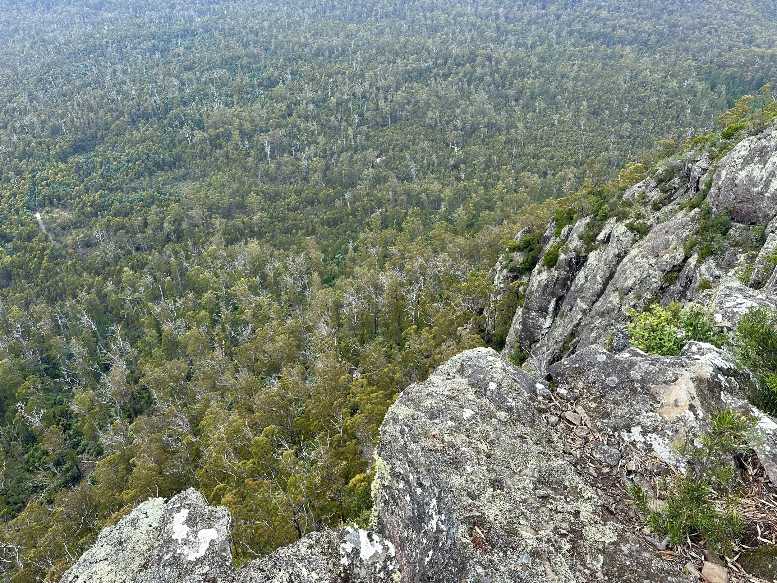 IMG_0650 2024-04-07 04_24_09.jpeg