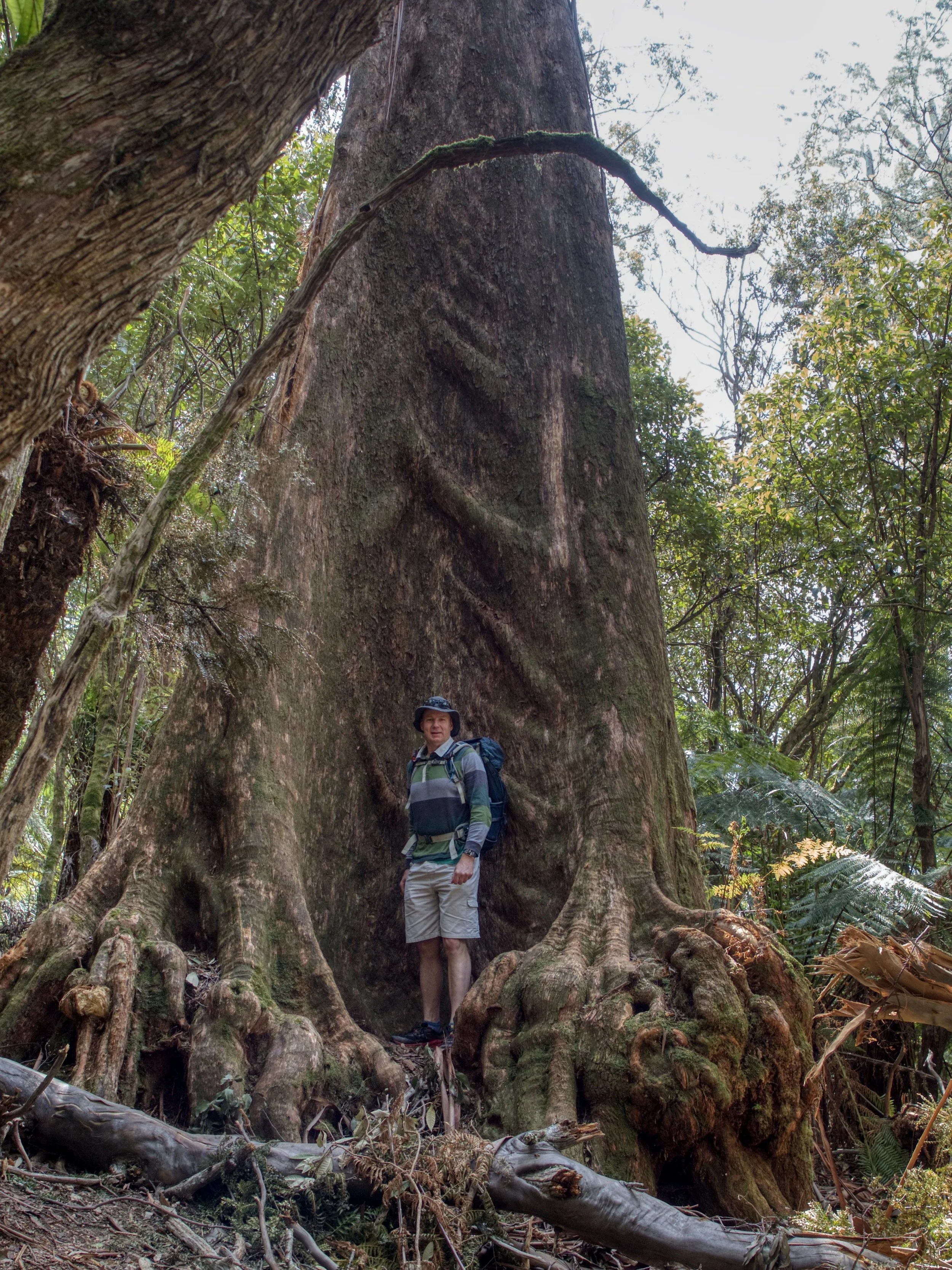 PA130114 2024-12-21 23_21_14.jpeg