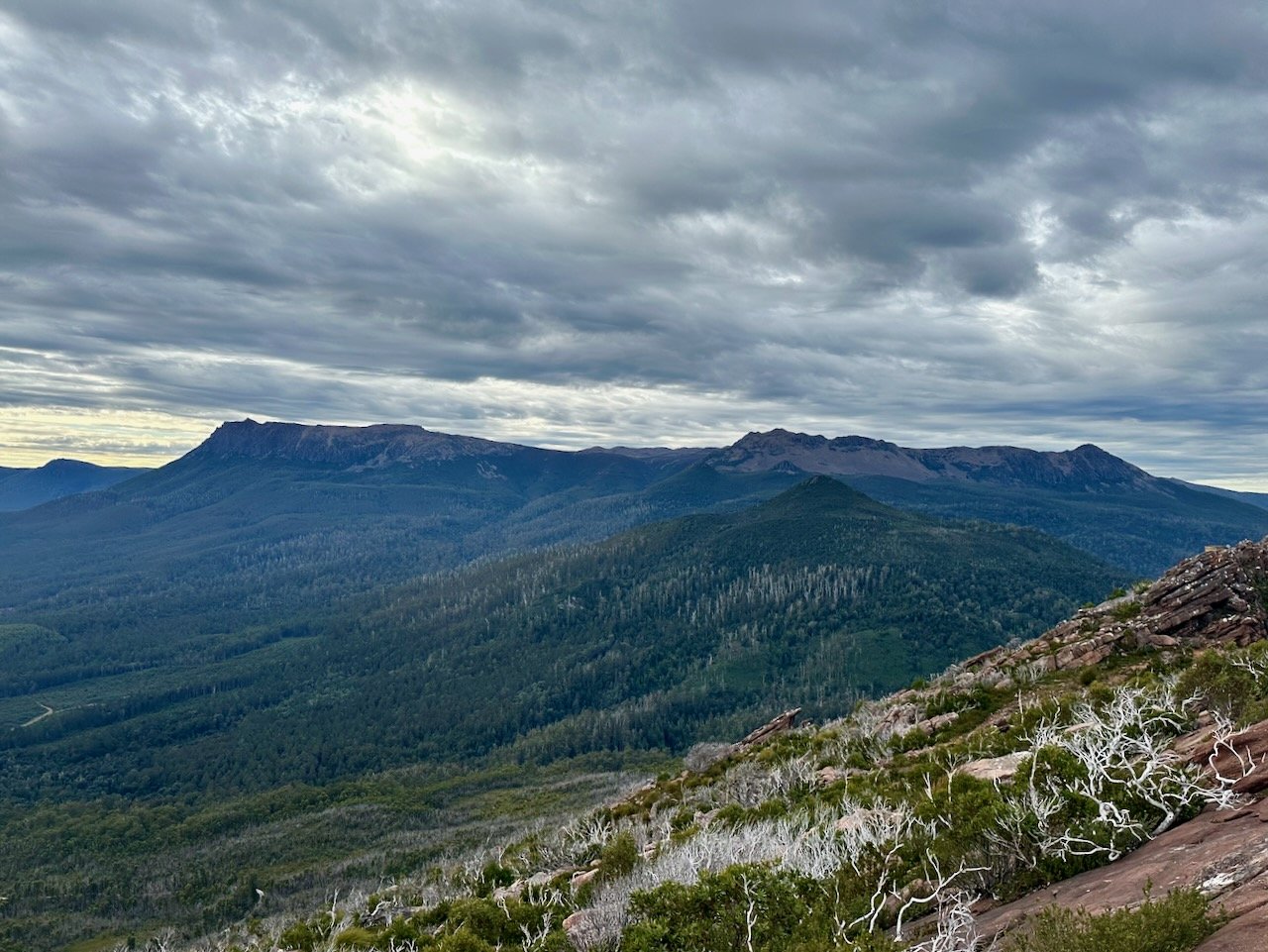 Mt Field West, Naturalist Peak, Florentine Peak, and Tyena Peak