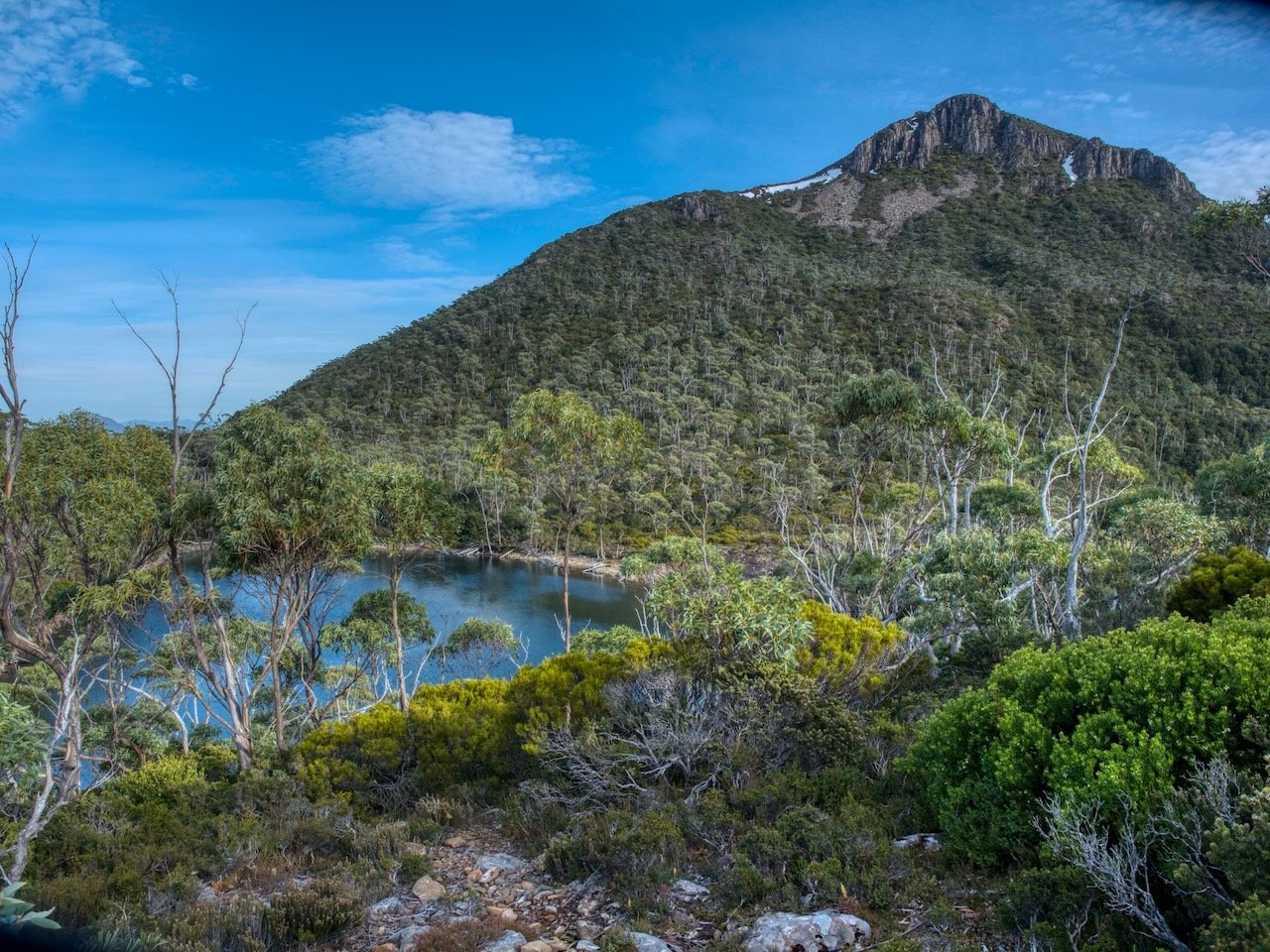 Mt Mueller