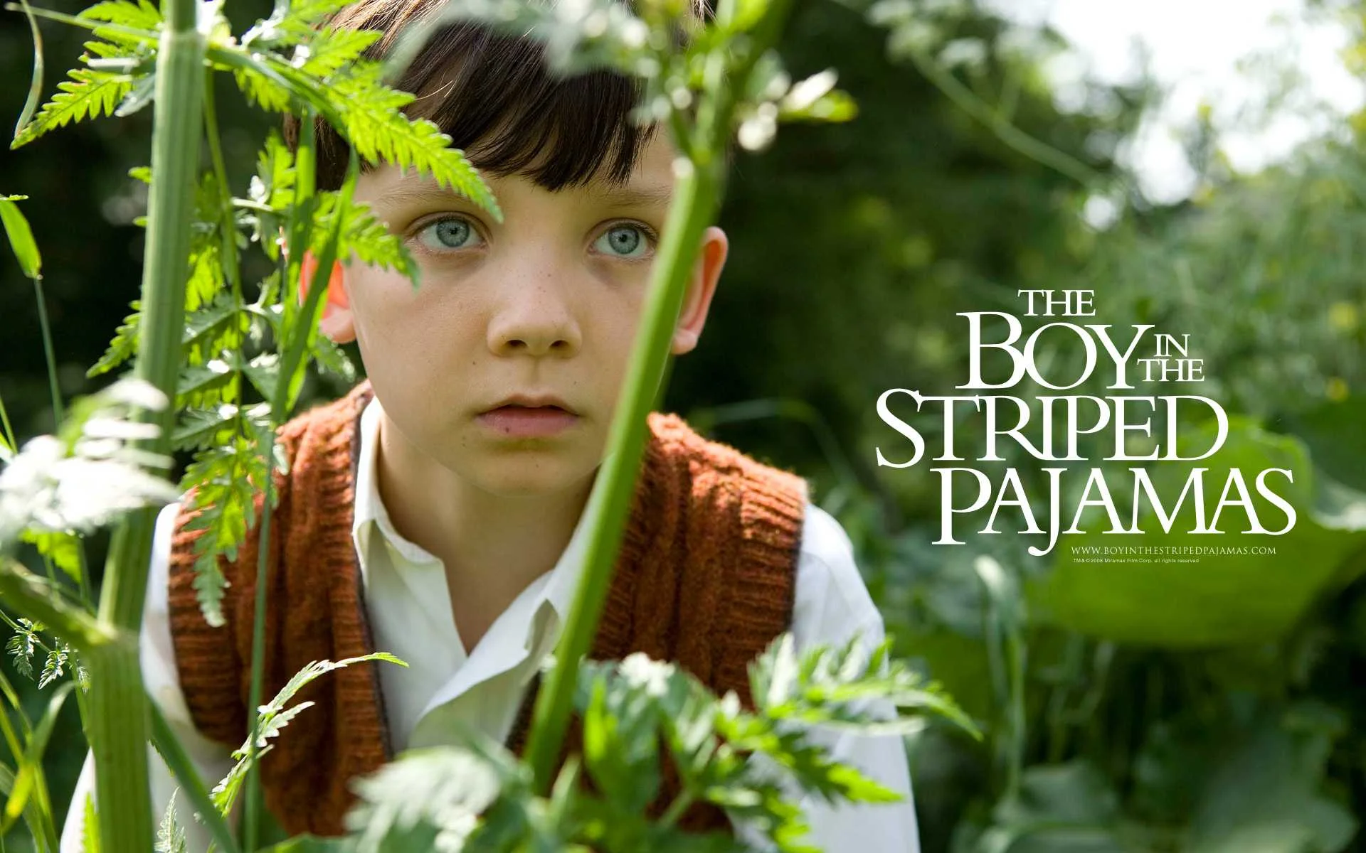 FSS screening of The Boy In The Stripped Pyjamas.