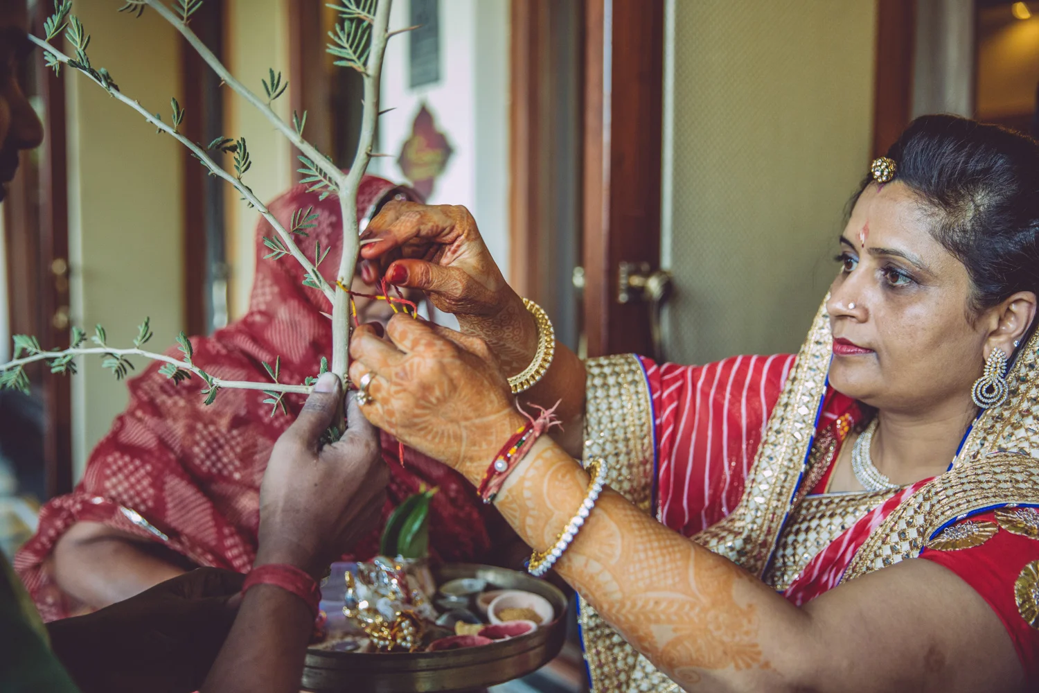 Palak Haldi-11.jpg