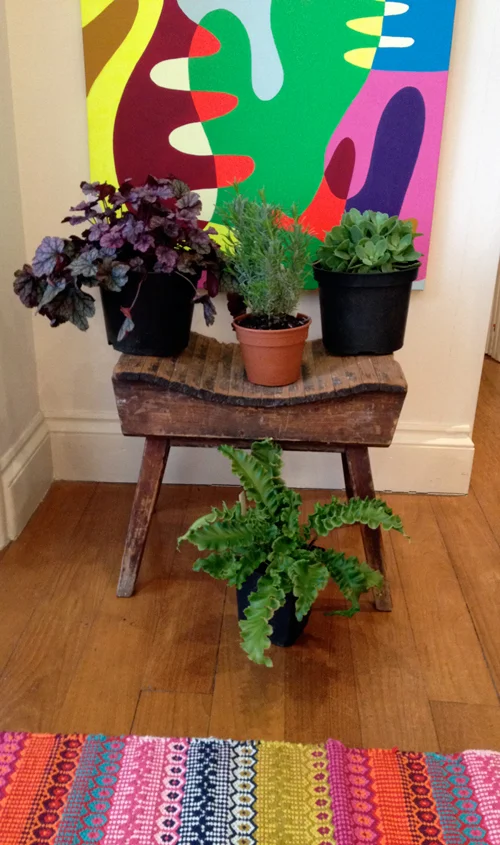 The fruits of our trip: a beaten up old stool and some new plants for our (tiny) garden