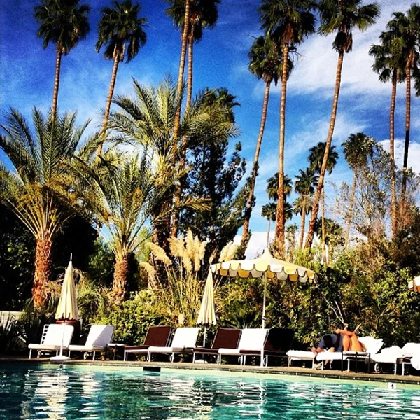 Poolside life in the desert