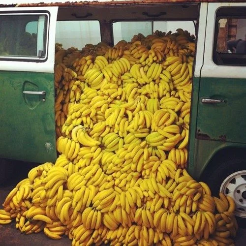 Bananas spilling out of a van via Matchbook: A Field Guide to a Charmed Life