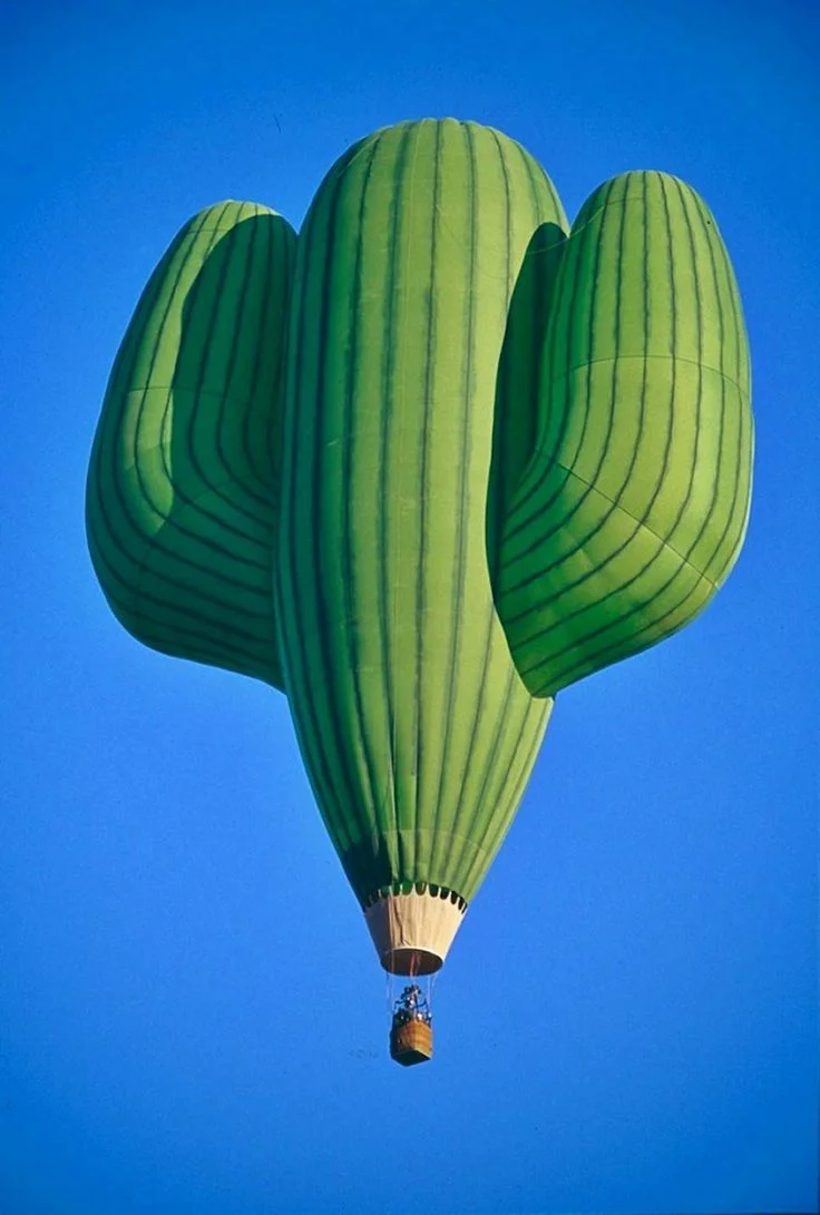 An appropriate choice for hot air ballooning over the desert. Image via Honestly WTF , which is by the way, a SUPER source for the strange and wonderful