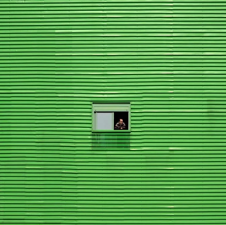 Green façade via Ryan Panos