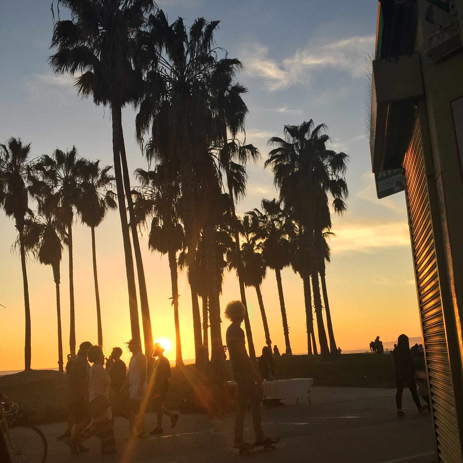 LizNehdi_VeniceSunset_Skateboarder.jpg