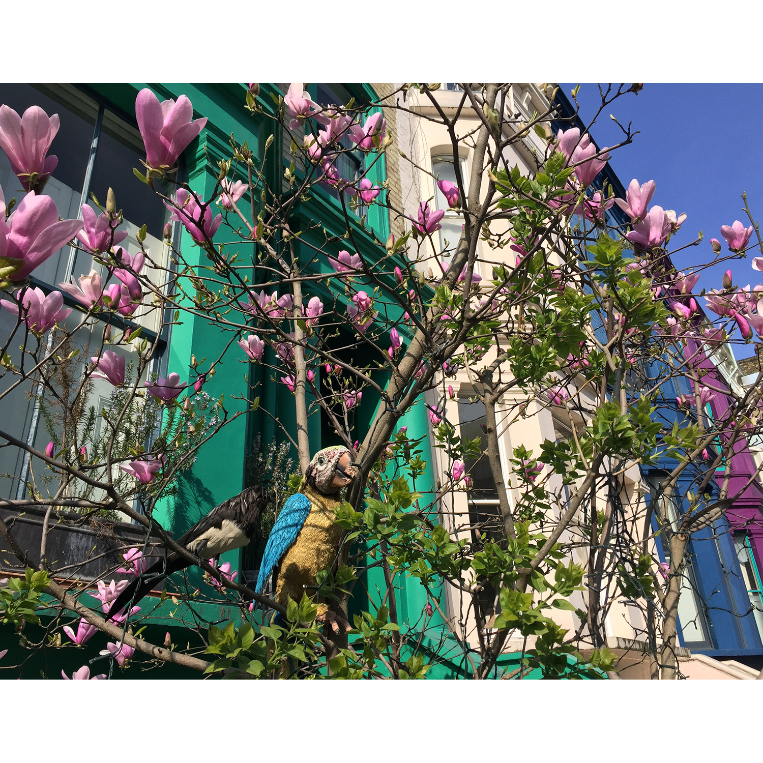 LizNehdi_NottingHill_Turquoise+Magnolia1.jpg