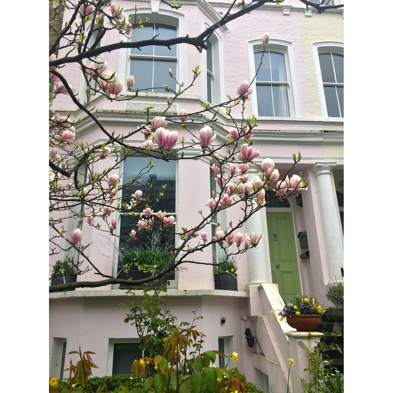Spring transformations abound in Notting Hill 💕🌸💚🌿