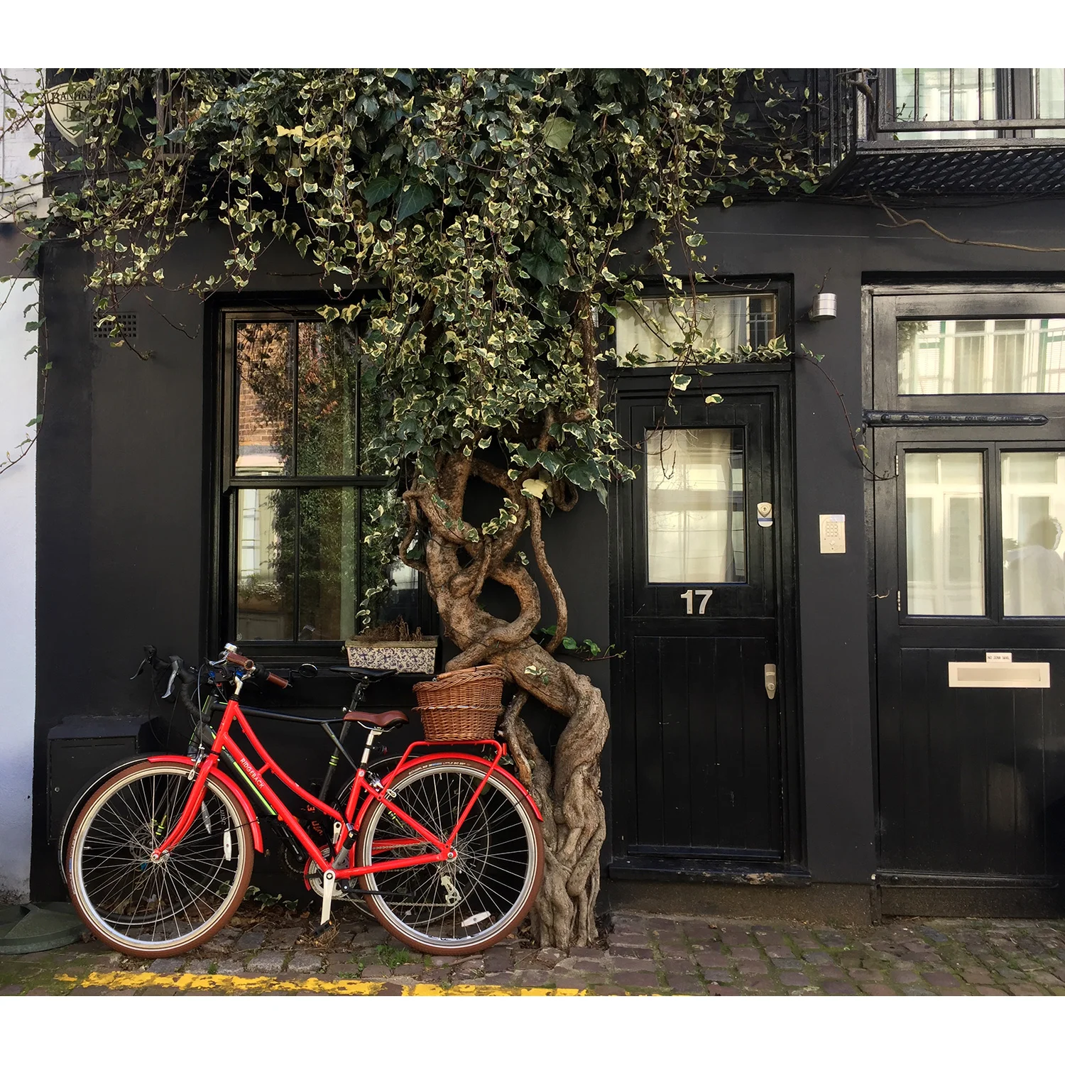 So much ❤️❤️❤️ for picturesque mews moments 😍