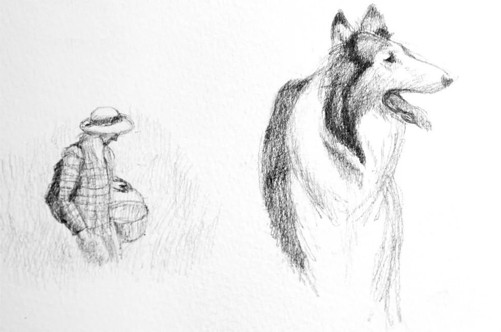 Foragers