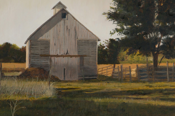 Blog_Illinois