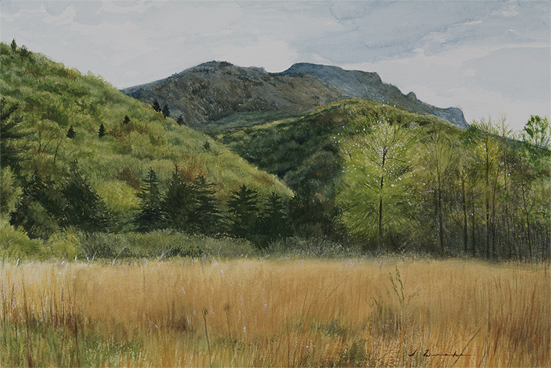 Springtime Rises - SOLD