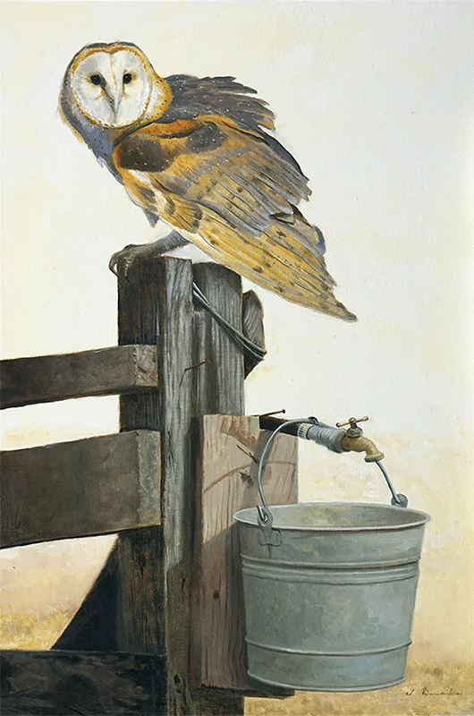 Reluctance - Barn Owl - oil, 30 x 20”