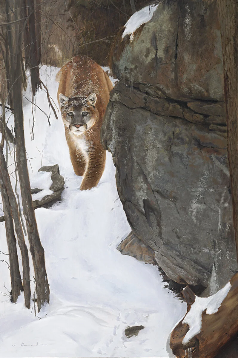 Close Encounter
