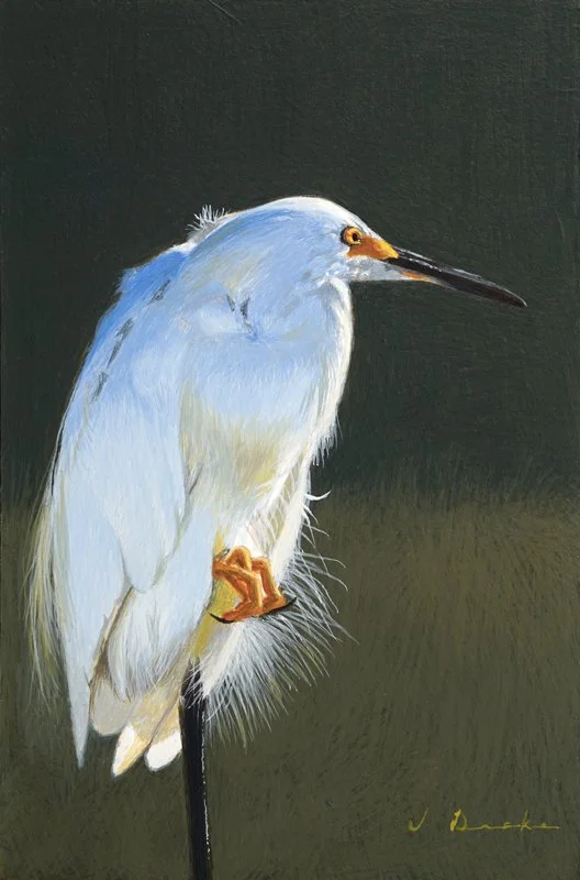 Delicate Balance - SOLD