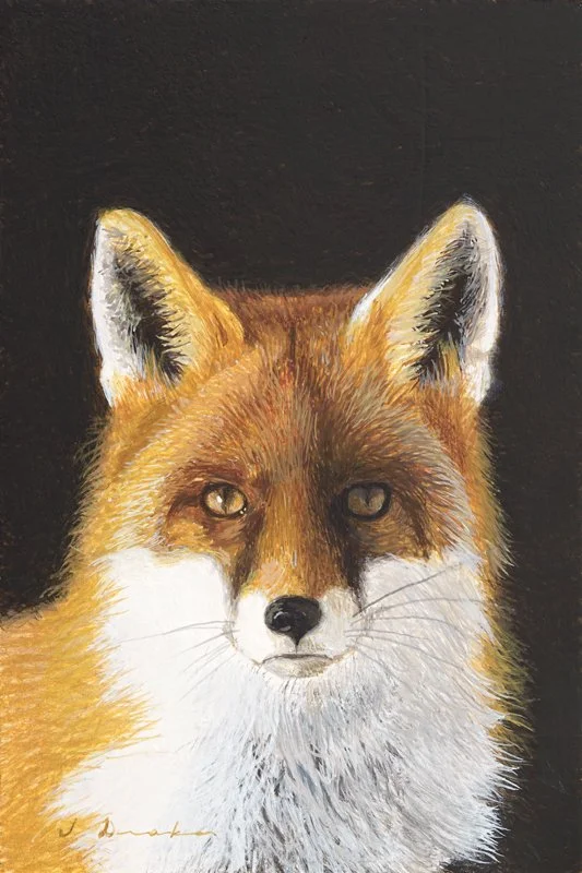Intense Gaze – SOLD