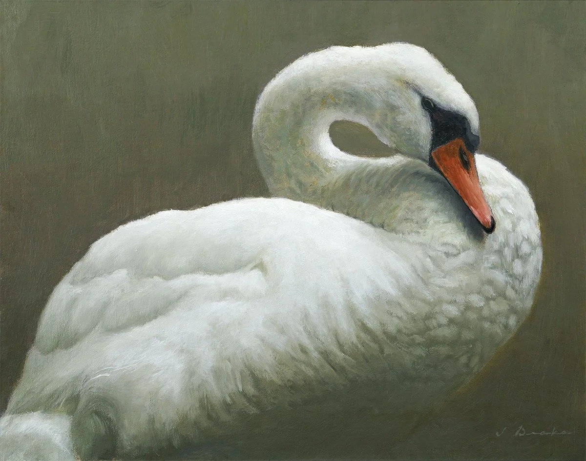 The Swan at Mayview Lake – SOLD