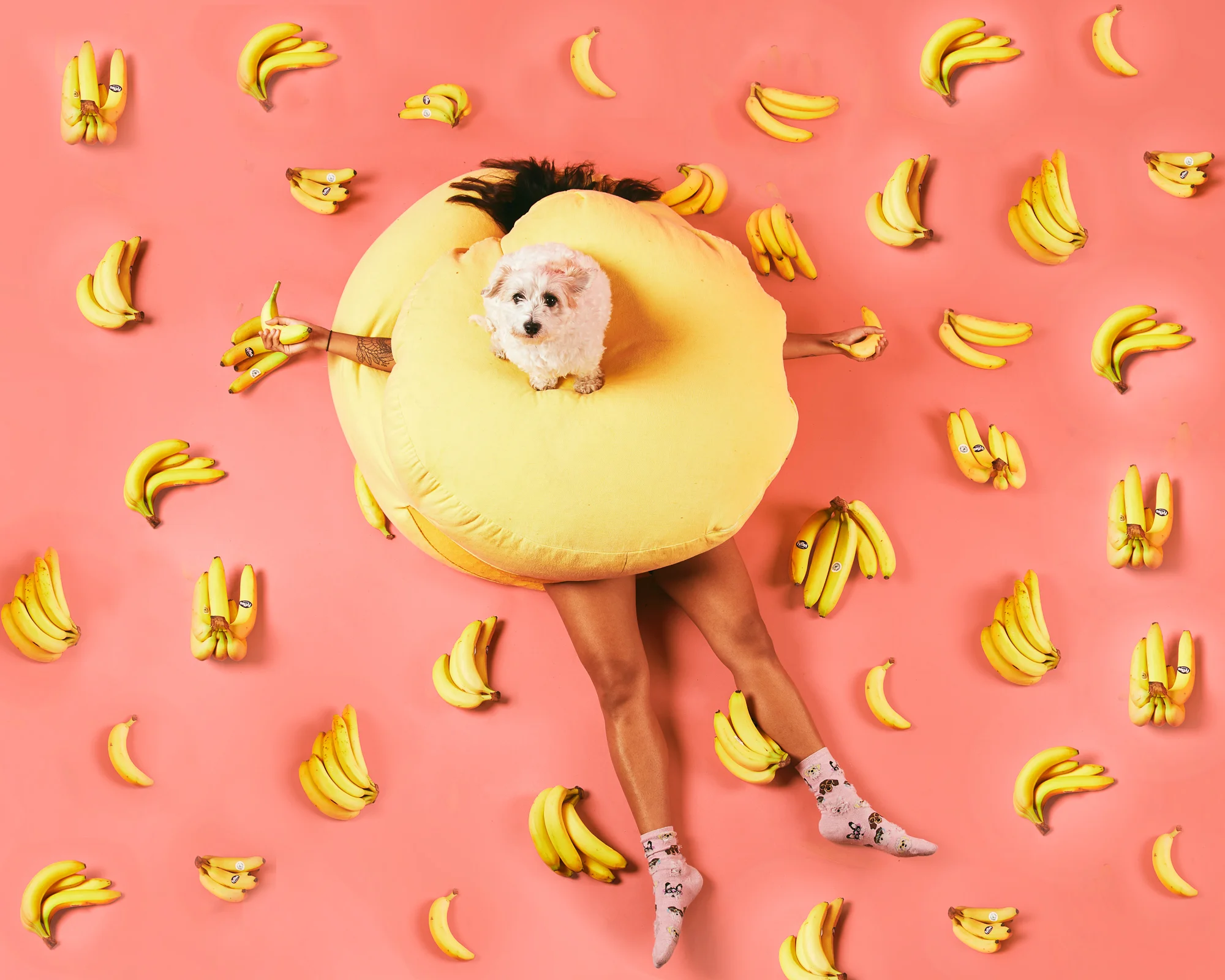 THIS IS SHOW IMAGE FOR LIFE IS NO LAUGHING MATTER AT FRINGE 31ST -18TH AUG