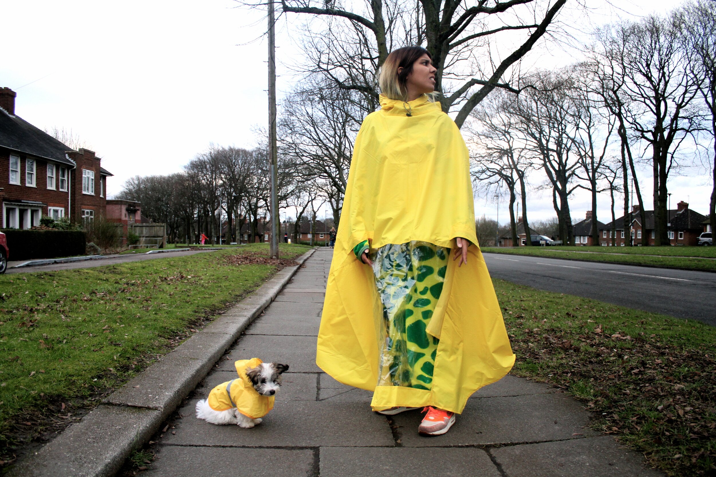  Image description: A woman dressed in a large yellow rain coat is in the street with a tiny white dog sitting next to her.  