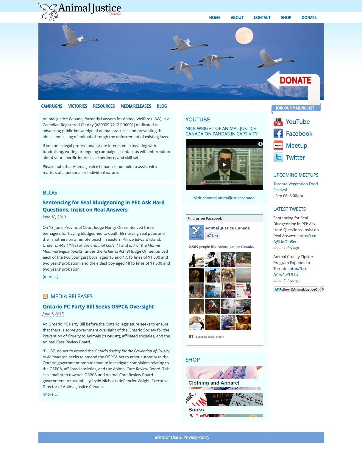 Anml Just_Web Main.jpg