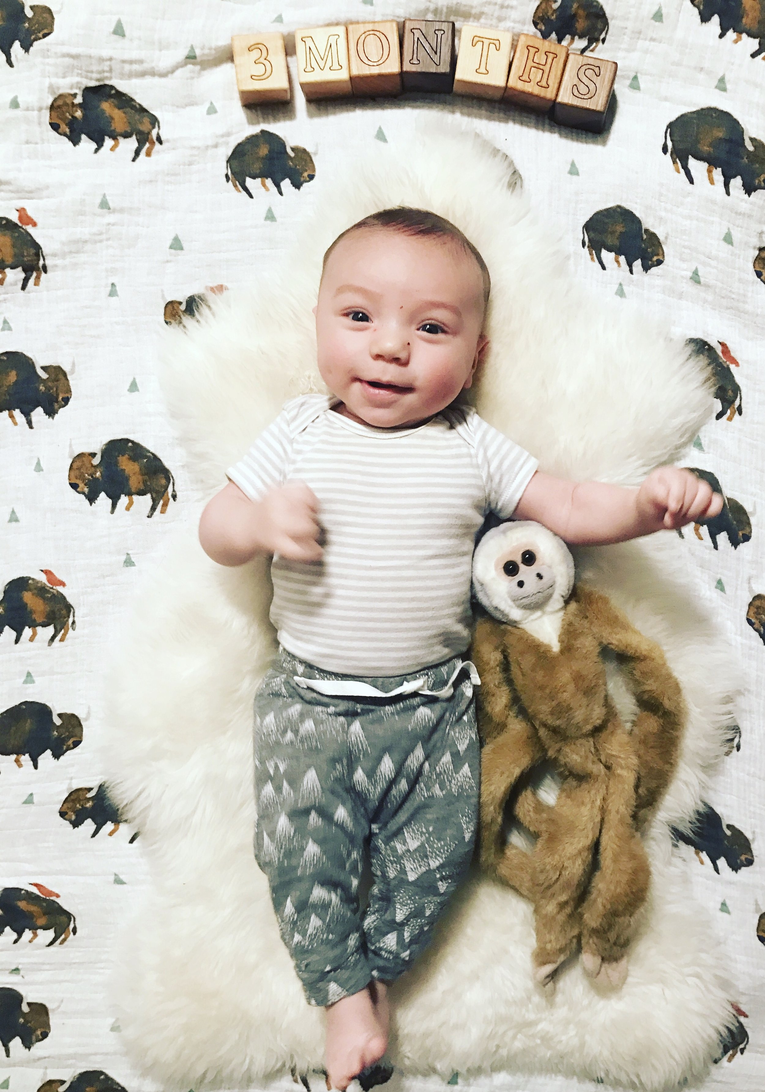 THREE MONTHS