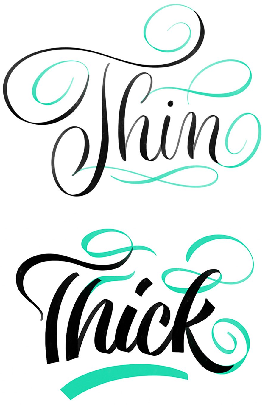 Thin hairline calligraphy flourishes compared to thick brush lettering flourishes