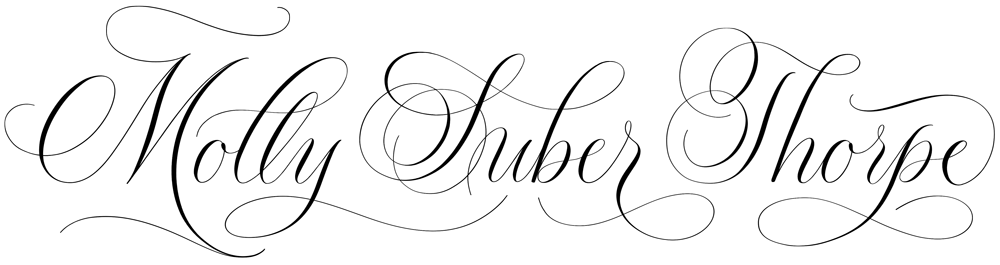 How To Use My Calligraphy Books With Procreate Molly Suber Thorpe