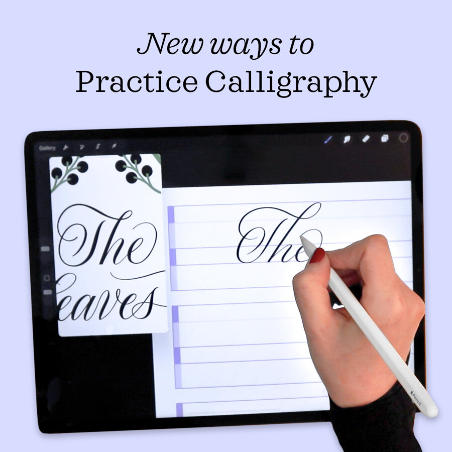 Practice Calligraphy with the Procreate Reference Window