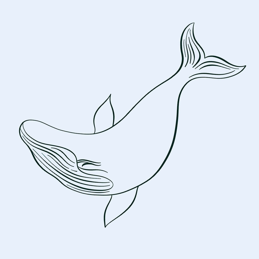Baby Blue Whale (Cartoon Drawing) - Blue Whale - Sticker | TeePublic