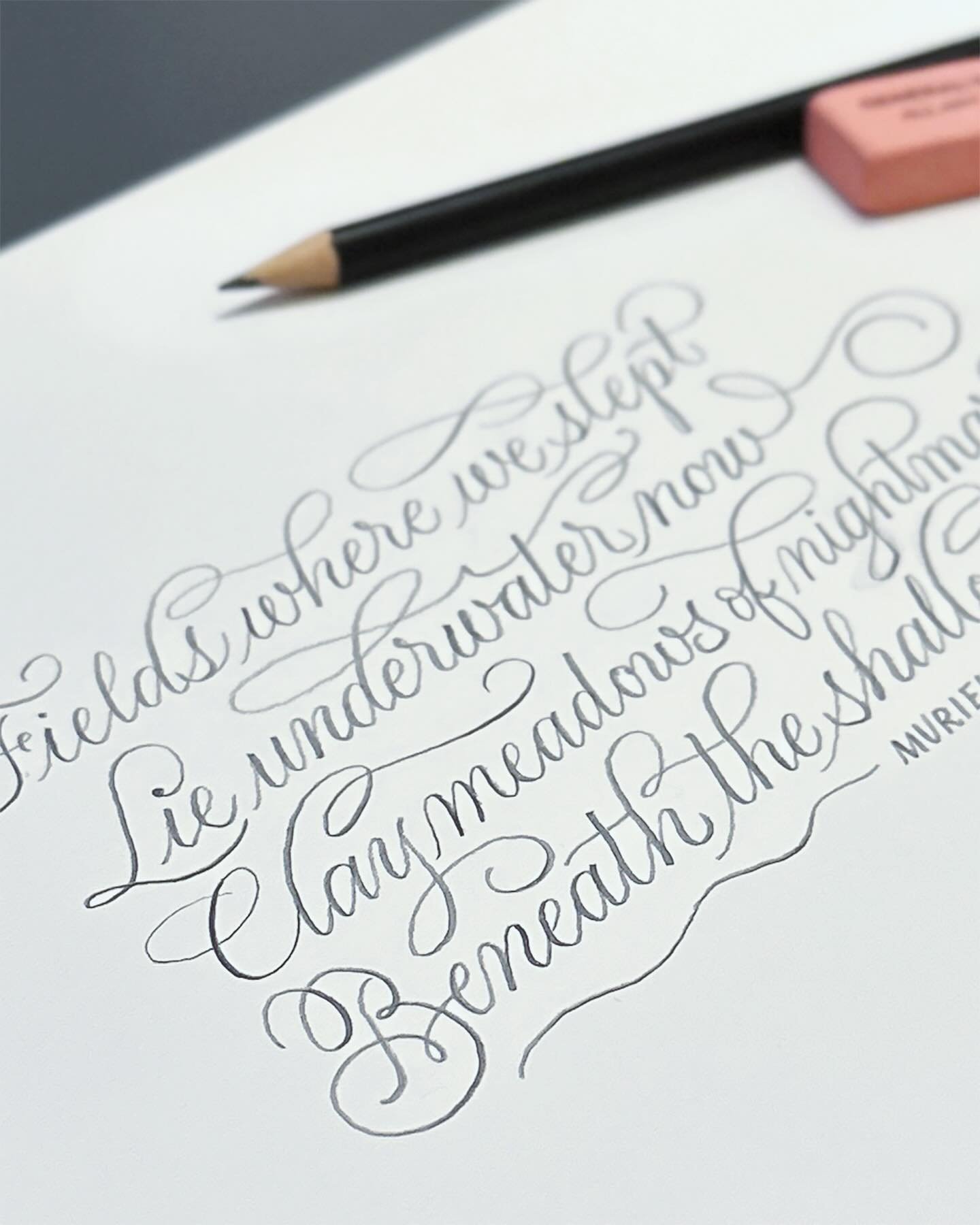 From a place of devastation, I turn to writing words with my hands, and reading the words of others to find solace. The feedback of graphite on textured paper grounds me in the here and now, and I feel relief for a few minutes from the rage vibrating
