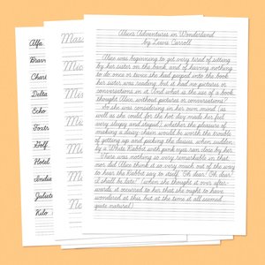 Modern Cursive Handwriting: Step-by-Step Guide and Workbook for Adults ...