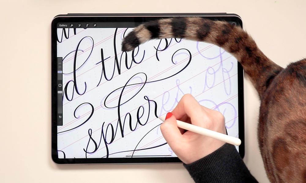 Molly Suber Thorpe drawing flourished calligraphy letters in Procreate, with her cat's tail curled over the top of the screen.