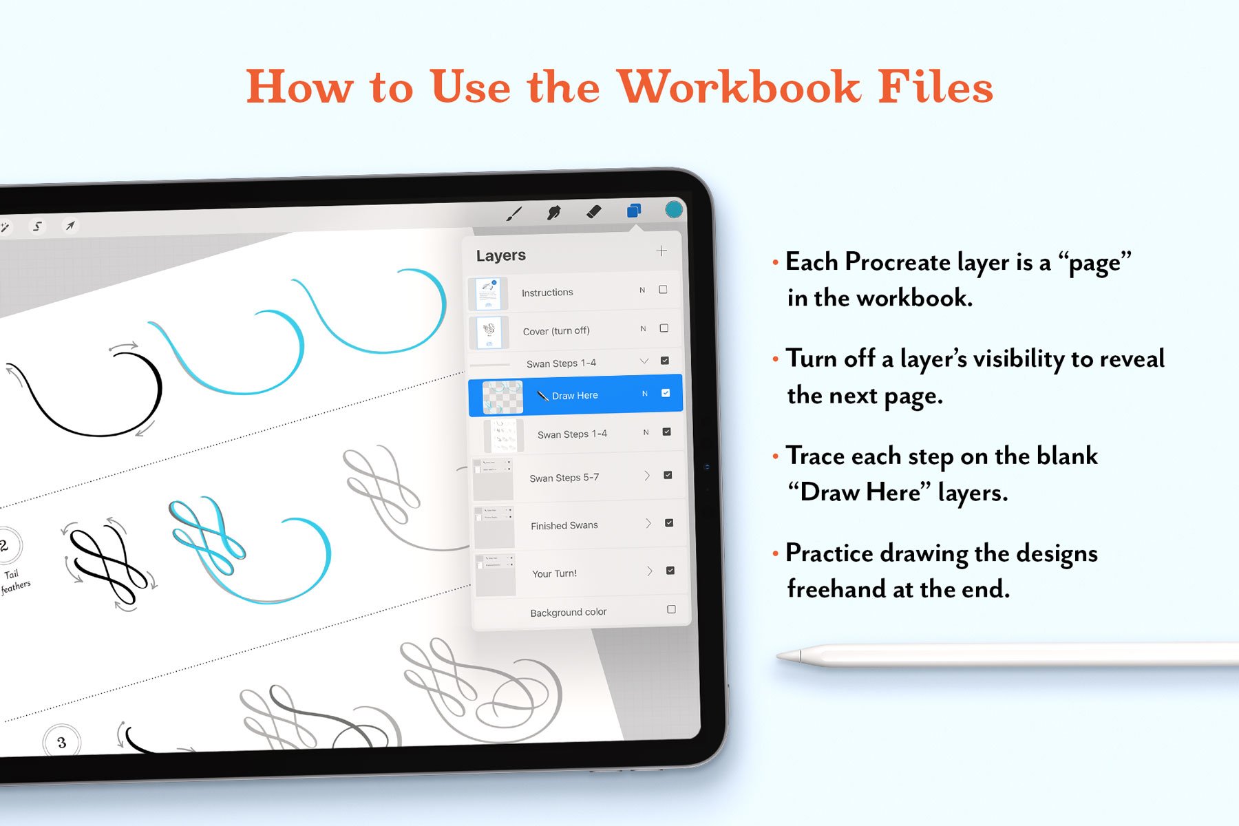 iPad screen showing how to use the Animal Flourishes Workbook for Procreate