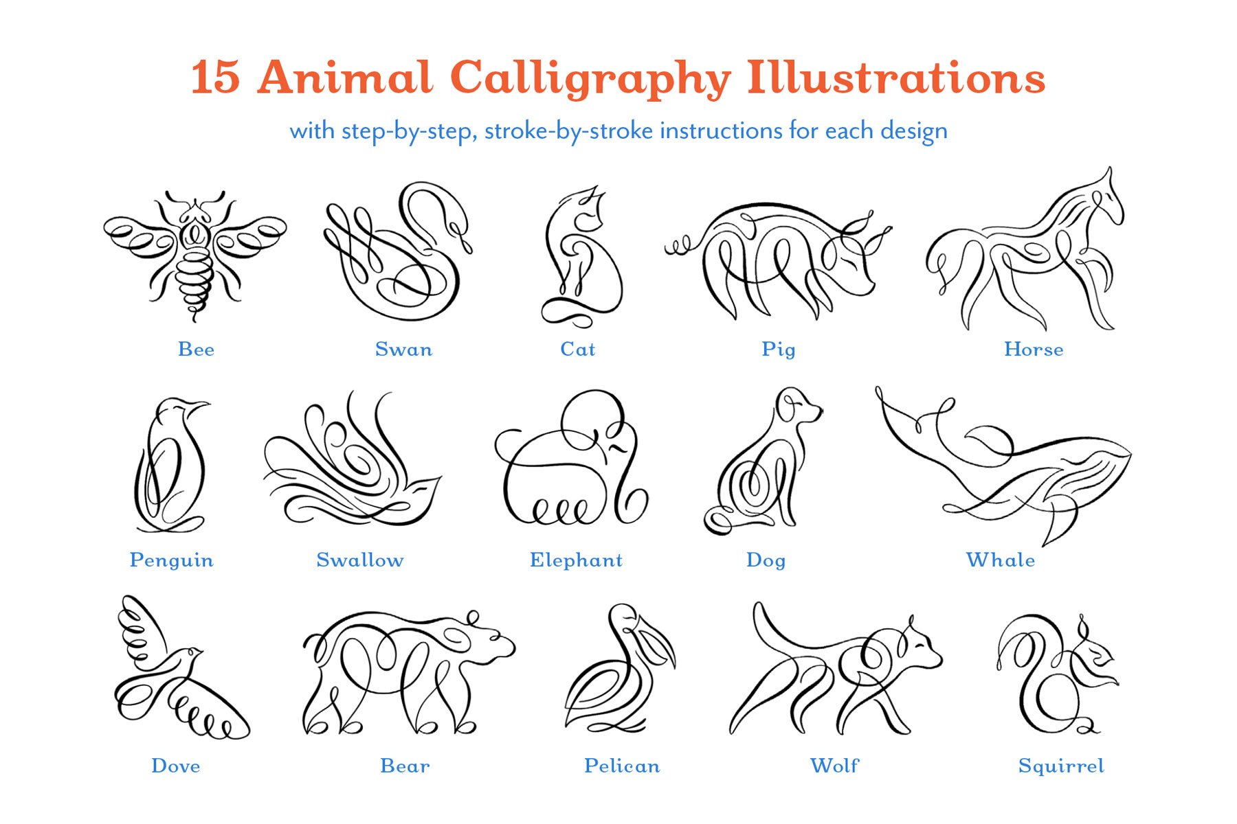 15 animal calligraphy flourish illustrations that are taught in Animal Flourishes Workbook for Procreate