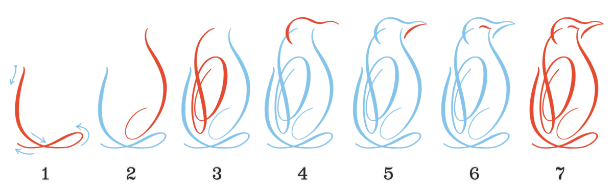 The seven steps of drawing a flourished penguin illustration from the Animal Flourishes Workbook by Molly Suber Thorpe