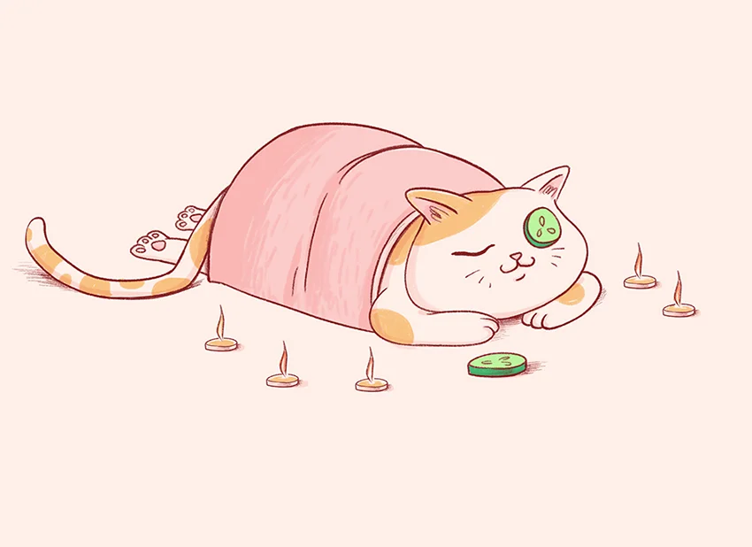 cat-spa-web.jpg