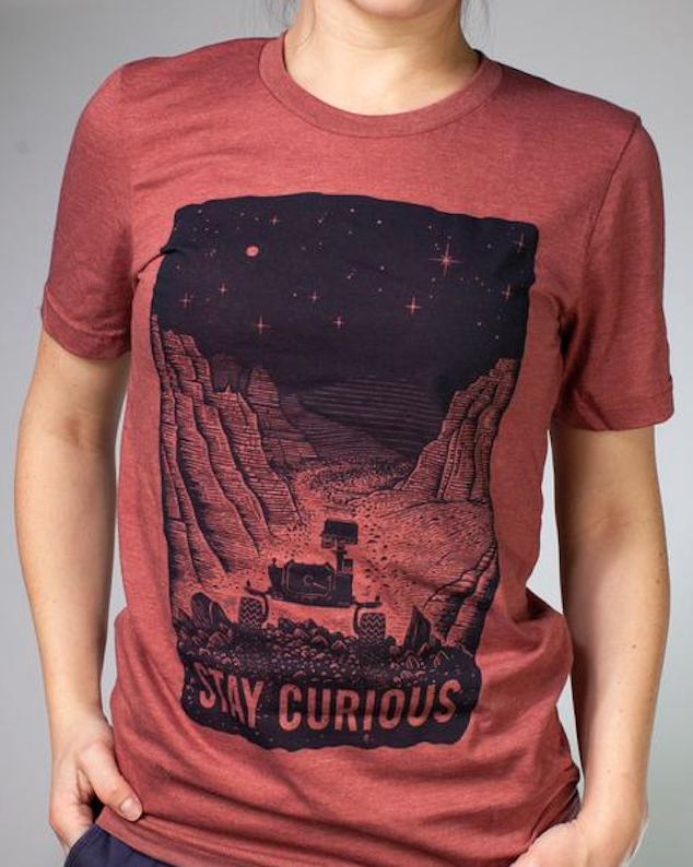 Curiosity design for Cognitive Surplus